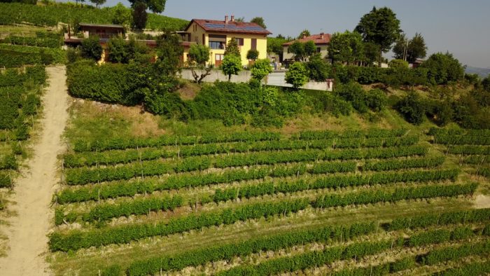 Cantina Piccaluga, Roberto Bellonio – Terre Sapori e Vini