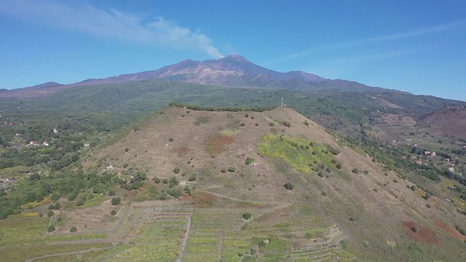 Gustochannel: Alle pendici dell’Etna – vendemmia 2022